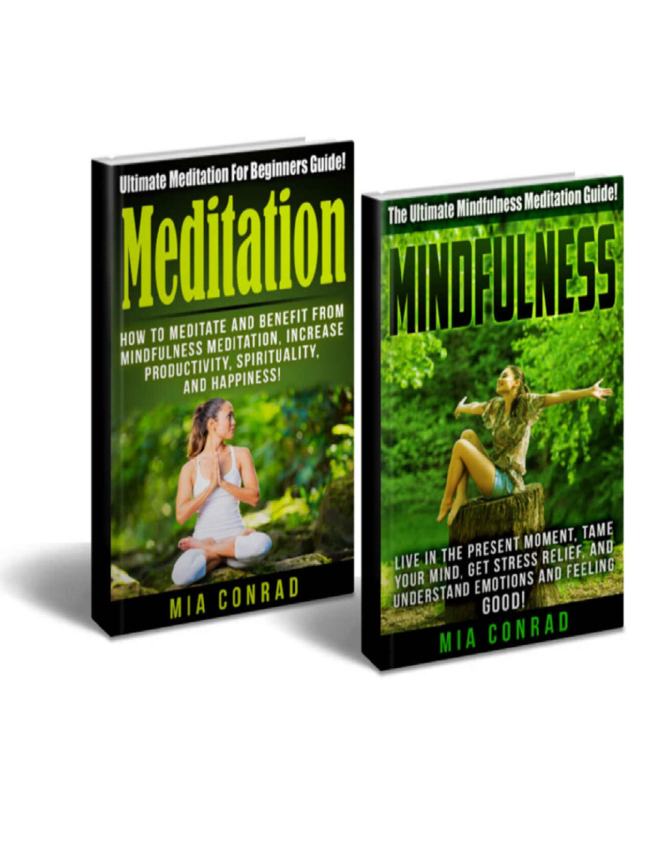 Meditation Mindfulness Bundle Box Set! - Meditation: How To Meditate For Beginners, Productivity, Spirituality, & Happiness! - Mindfulness: Live In The ... Tame Your Mind, Emotional Intelligence)
